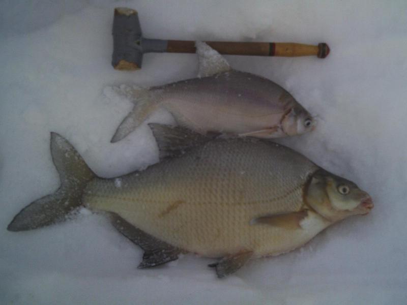 Прикрепленное изображение