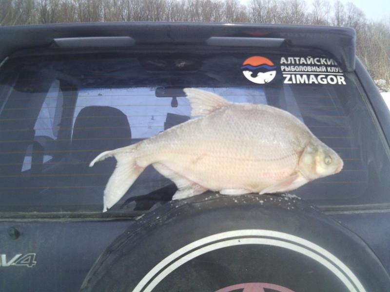 Прикрепленное изображение