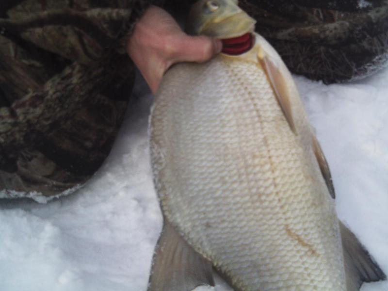 Прикрепленное изображение