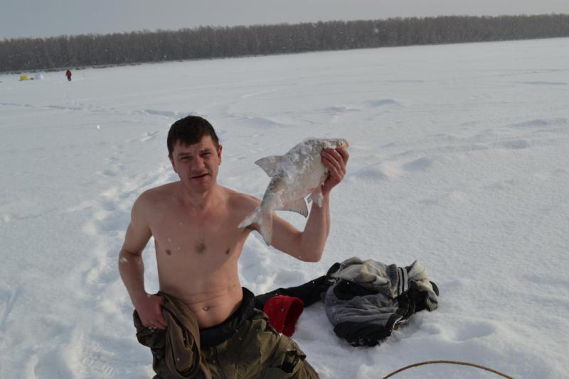 Прикрепленное изображение