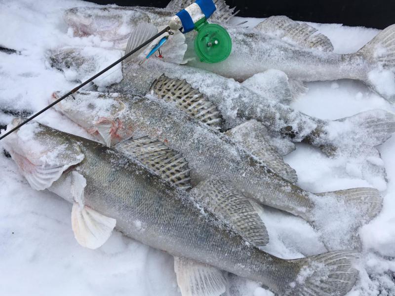 Прикрепленное изображение