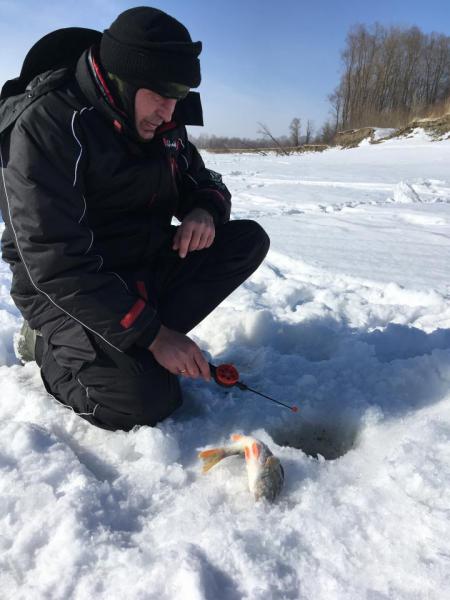 Прикрепленное изображение