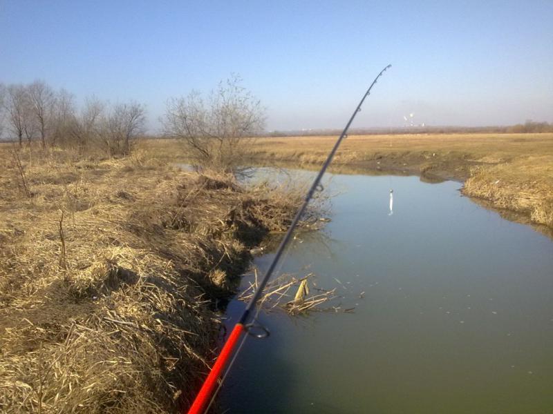 Прикрепленное изображение