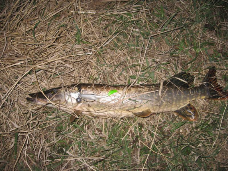 Прикрепленное изображение