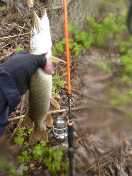 Прикрепленное изображение