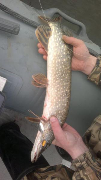 Прикрепленное изображение