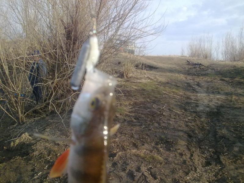 Прикрепленное изображение