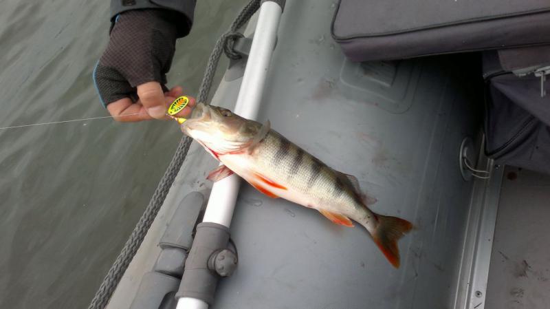 Прикрепленное изображение