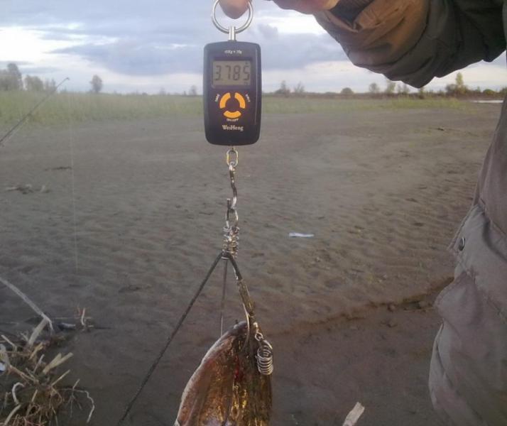 Прикрепленное изображение