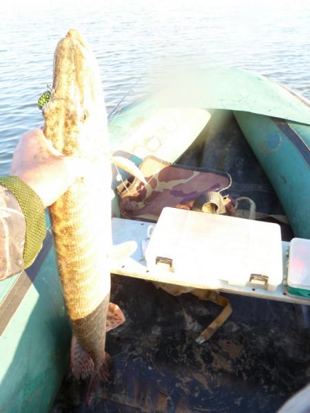 Прикрепленное изображение