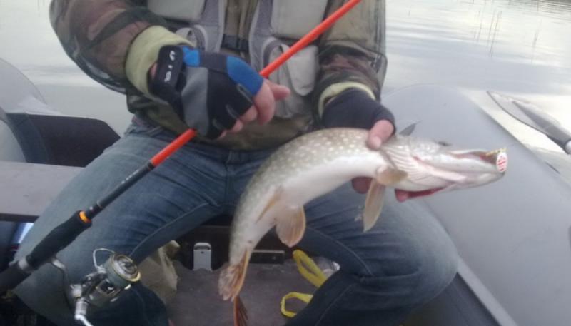 Прикрепленное изображение