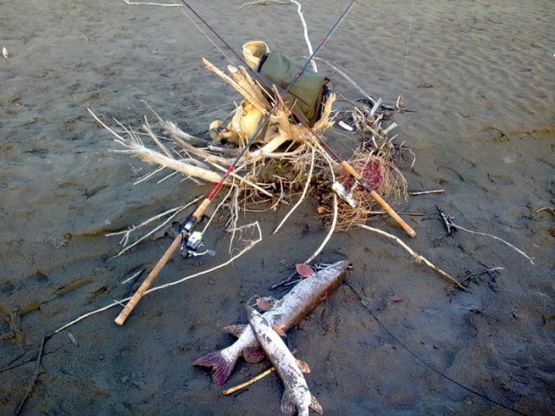 Прикрепленное изображение