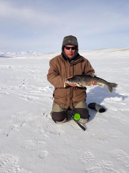 Прикрепленное изображение