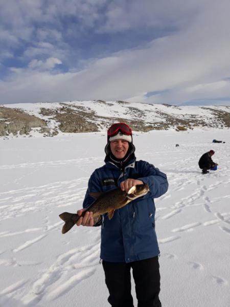 Прикрепленное изображение