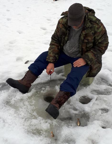 Прикрепленное изображение