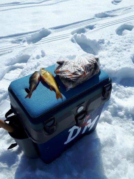 Прикрепленное изображение