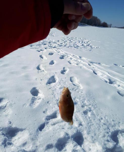 Прикрепленное изображение