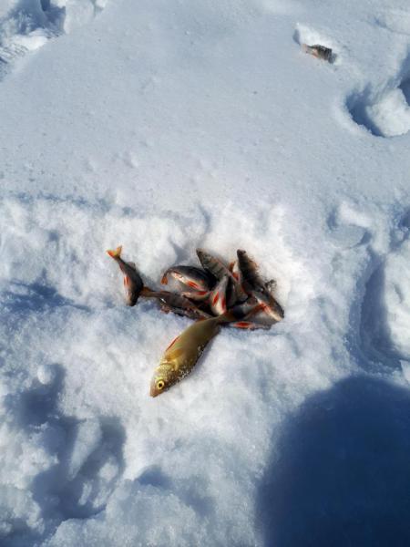 Прикрепленное изображение