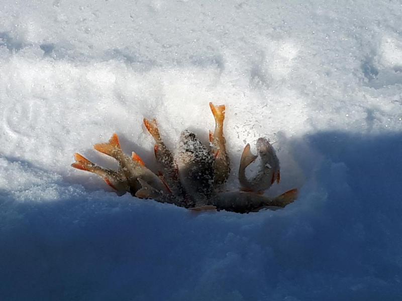 Прикрепленное изображение