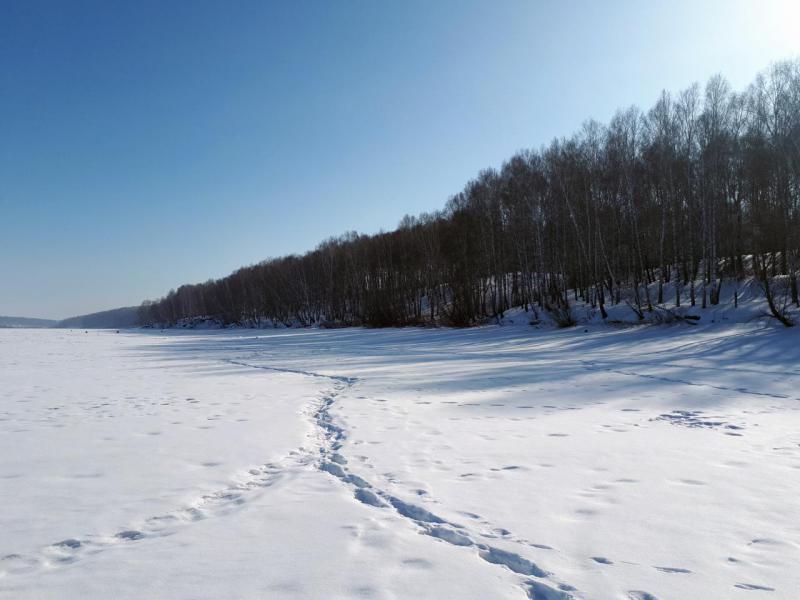 Прикрепленное изображение