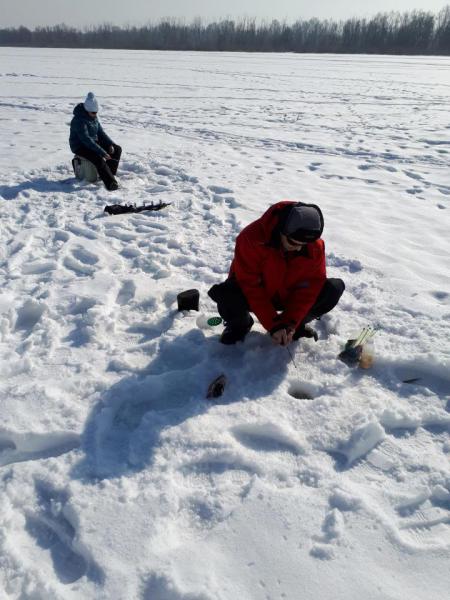 Прикрепленное изображение