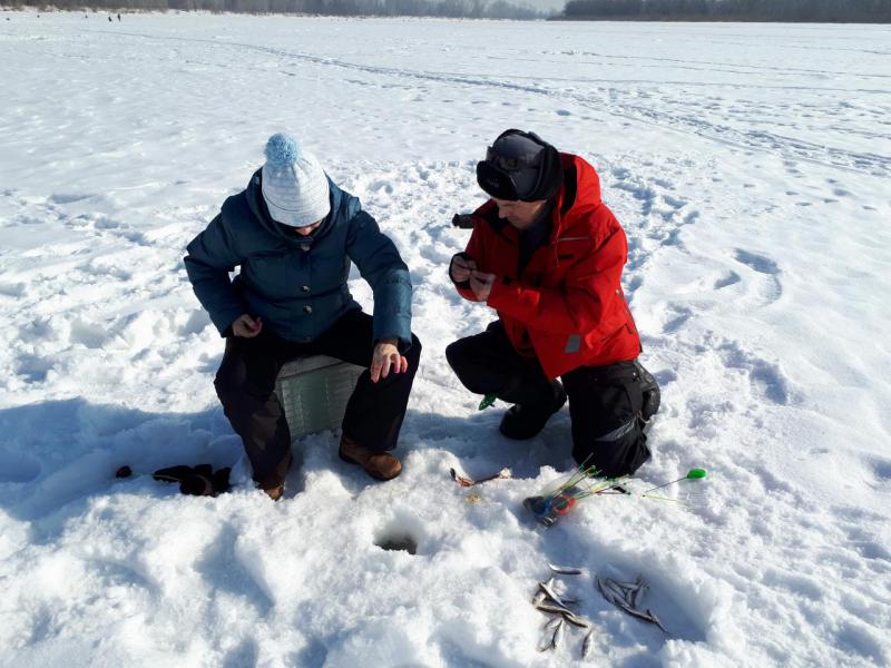 Прикрепленное изображение