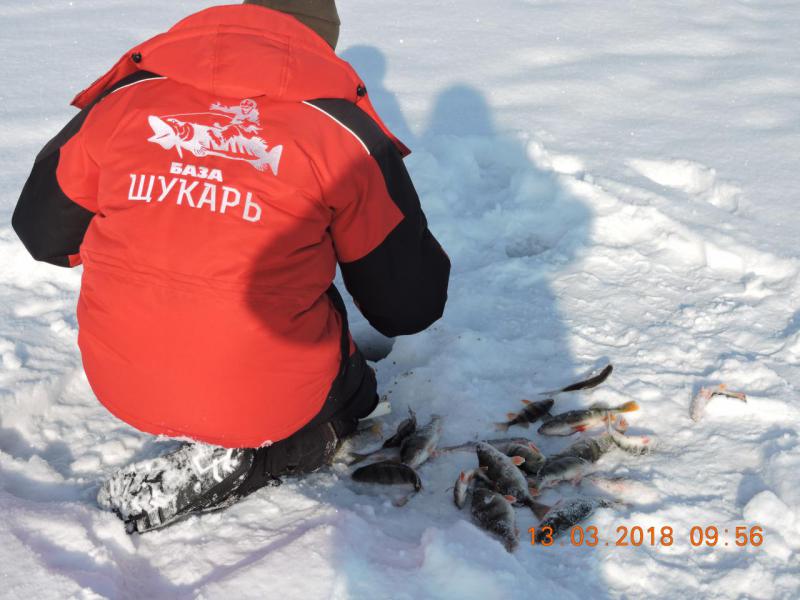 Прикрепленное изображение