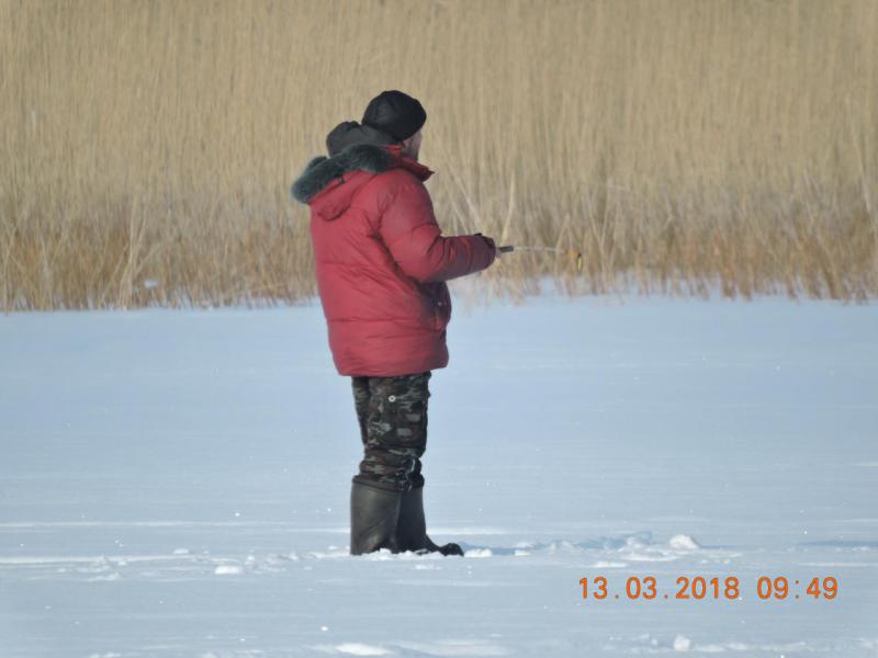 Прикрепленное изображение