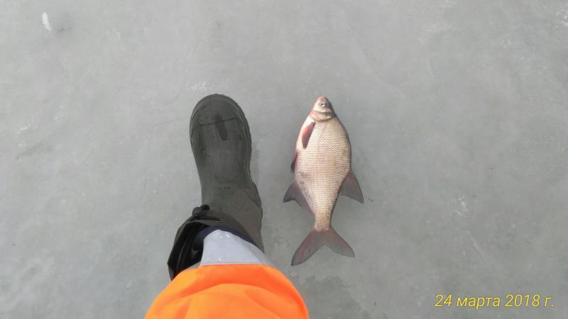 Прикрепленное изображение: P_20180324_130918_p.jpg