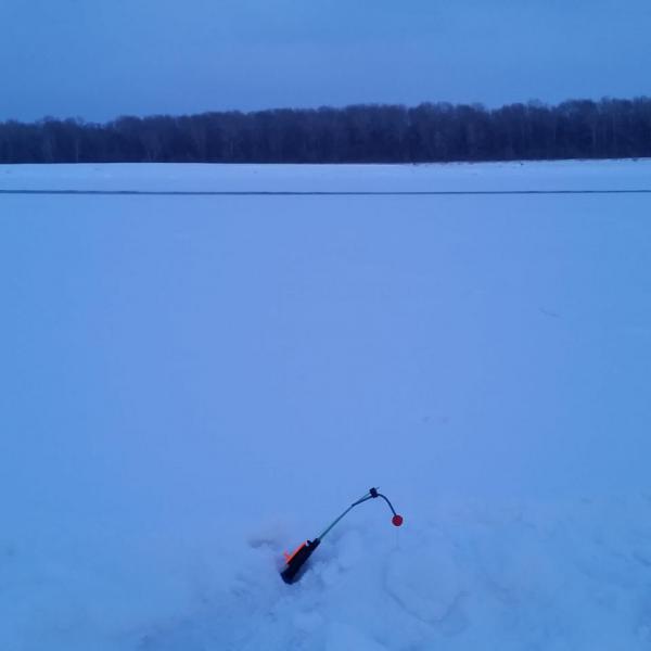 Прикрепленное изображение: IMG_20180303_153553_230.jpg