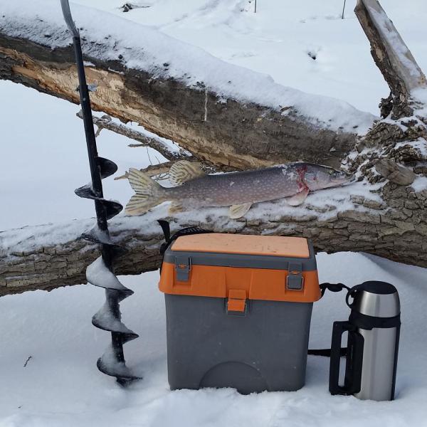 Прикрепленное изображение: IMG_20180303_152200_024.jpg