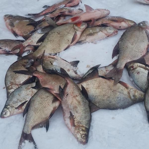 Прикрепленное изображение: IMG_20180303_153725_246.jpg