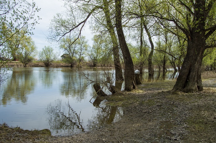DSC_8332.jpg