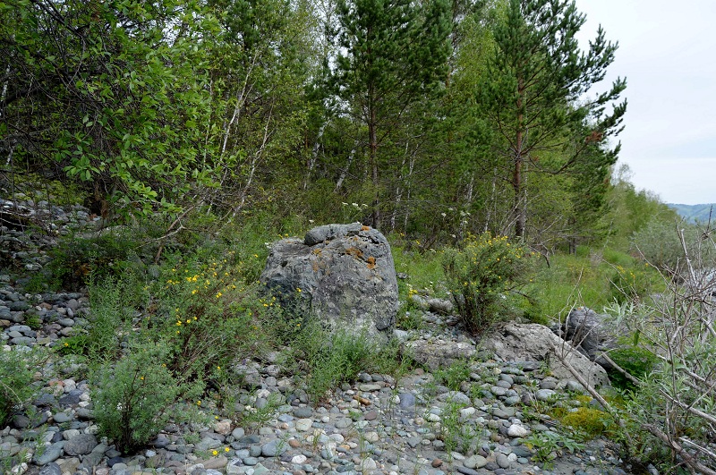 DSC_1366.JPG