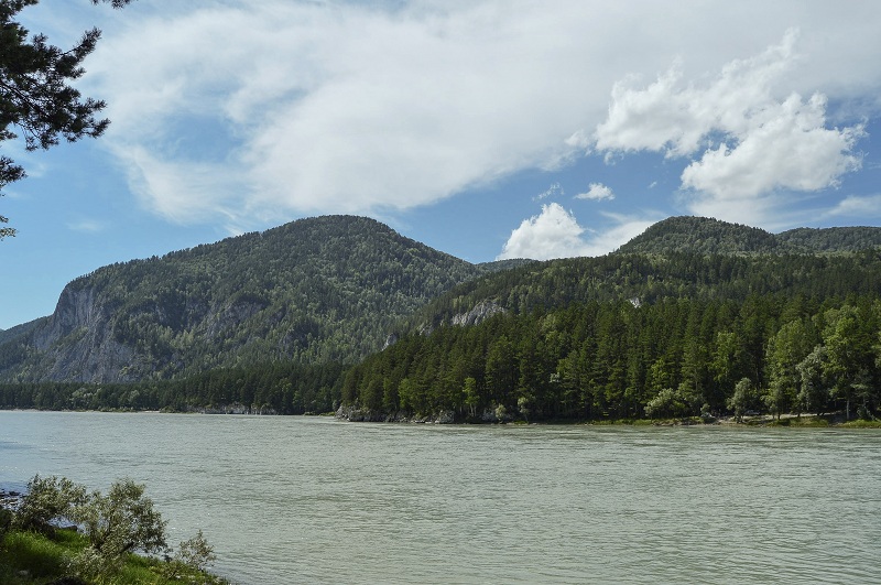 DSC_1426.JPG