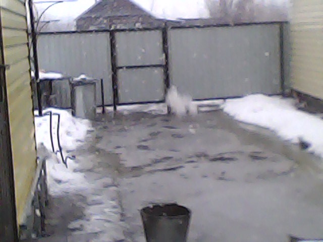 DSC_0000012.jpg