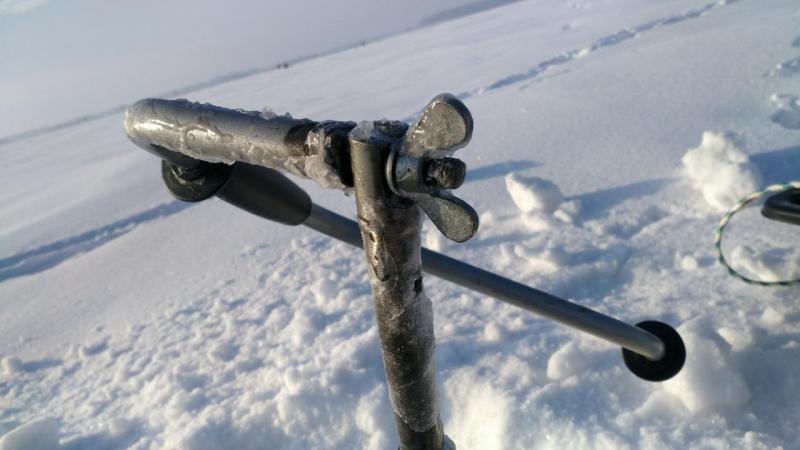 IMG-20180318-WA0003.jpeg