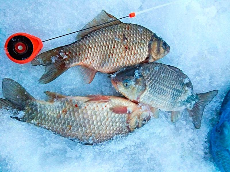 удочка размер.jpg