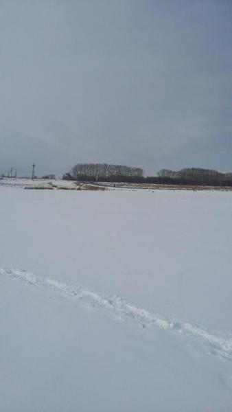 20180305_140628.jpg