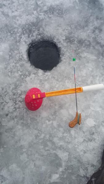 20180305_141959.jpg