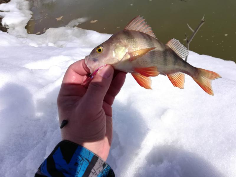 Прикрепленное изображение