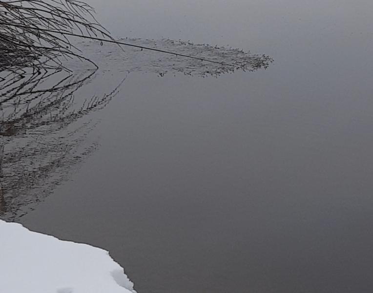 Прикрепленное изображение