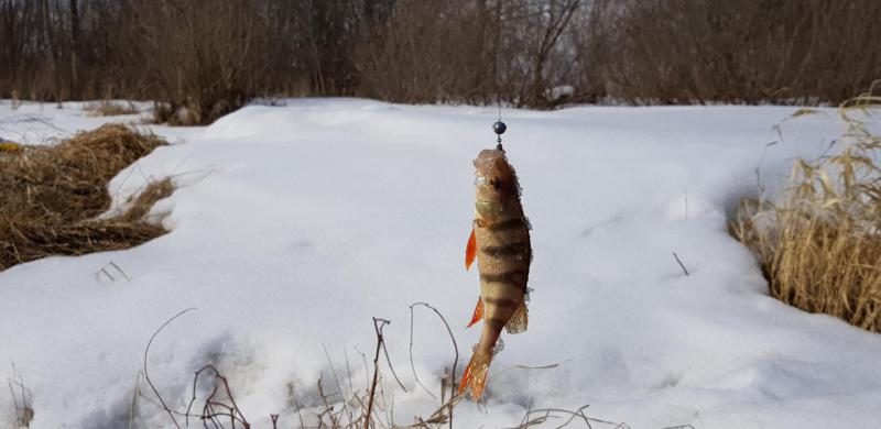 Прикрепленное изображение