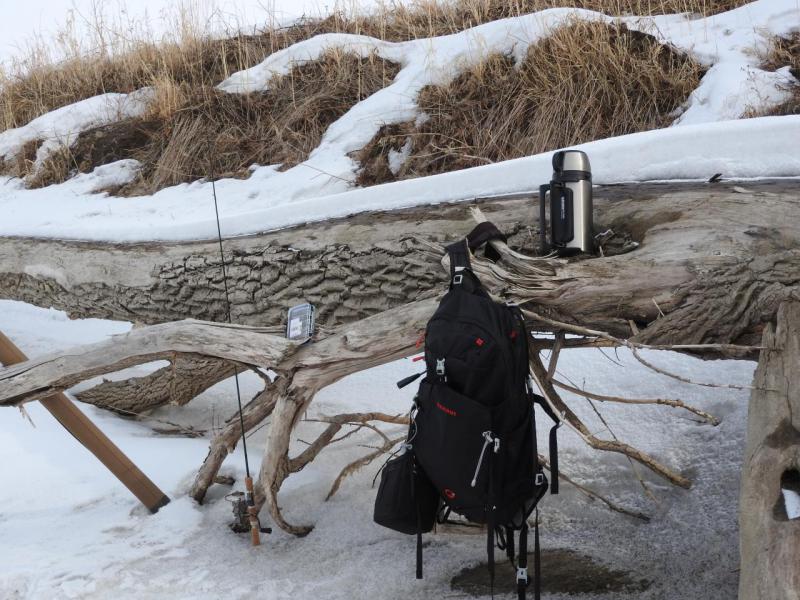 Прикрепленное изображение