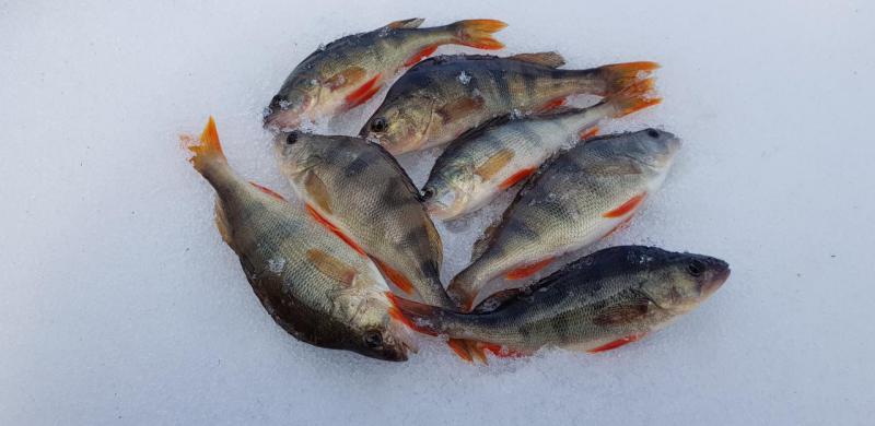 Прикрепленное изображение