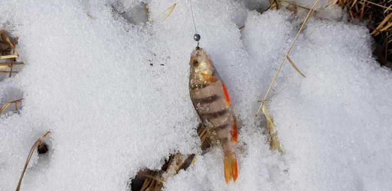 Прикрепленное изображение