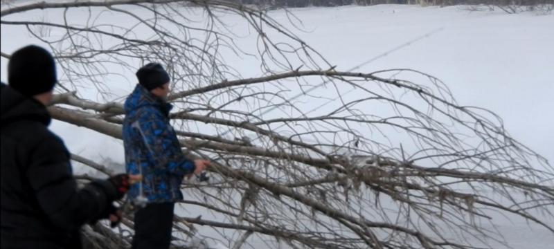 Прикрепленное изображение