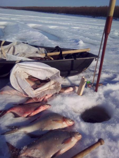 Прикрепленное изображение