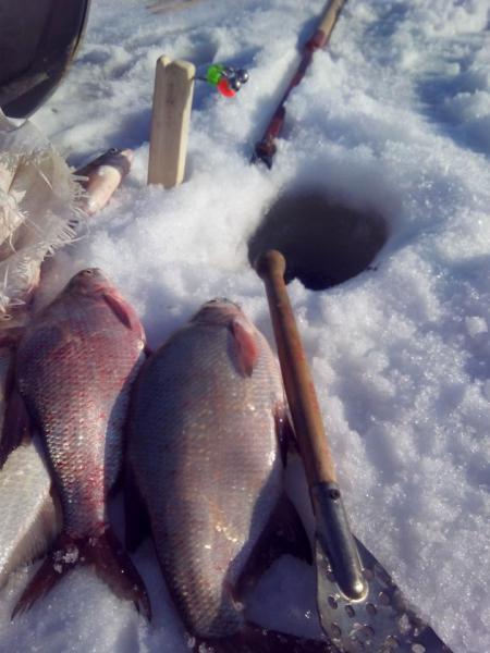 Прикрепленное изображение