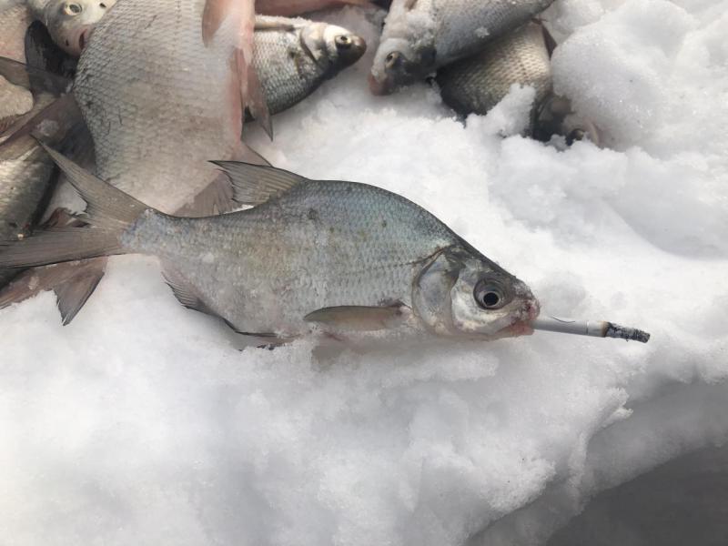 Прикрепленное изображение: IMG_5875-03-03-19-05-55.jpeg